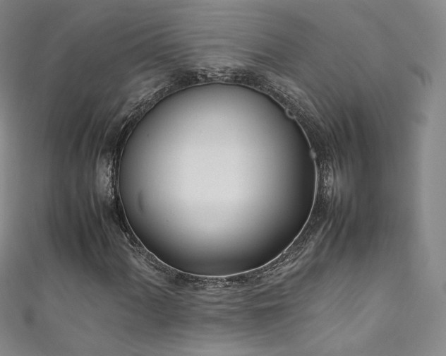 X0000111431060200907131218