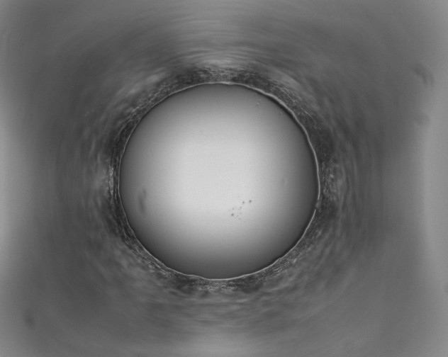 X0000111431061200907131218
