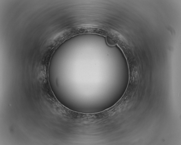 X0000111431062200907131218