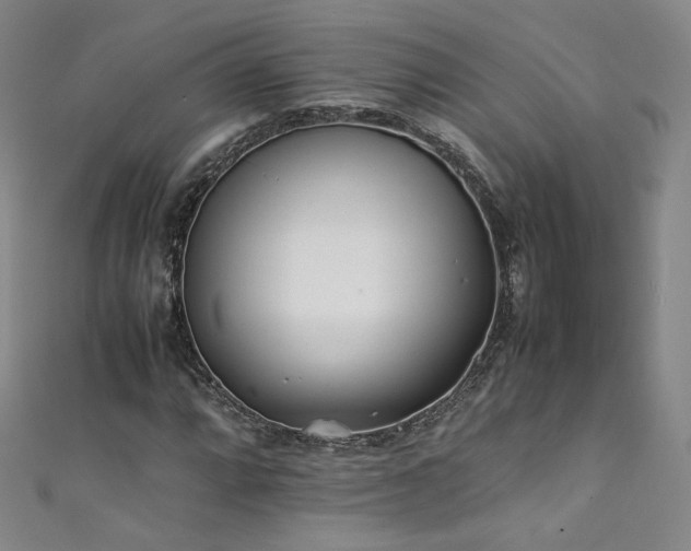 X0000111431064200907131218