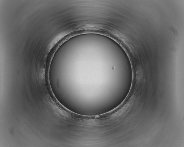 X0000111431066200907131218