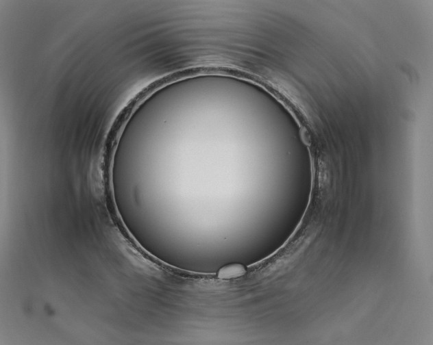 X0000111431068200907131218