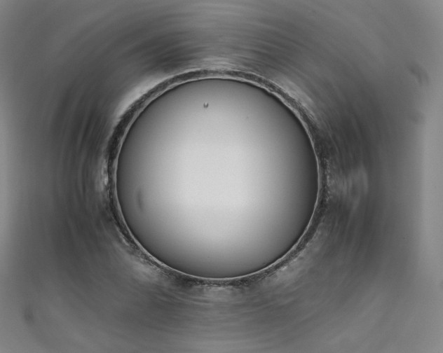 X0000111431070200907131218