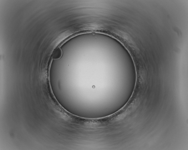 X0000111431073200907131218