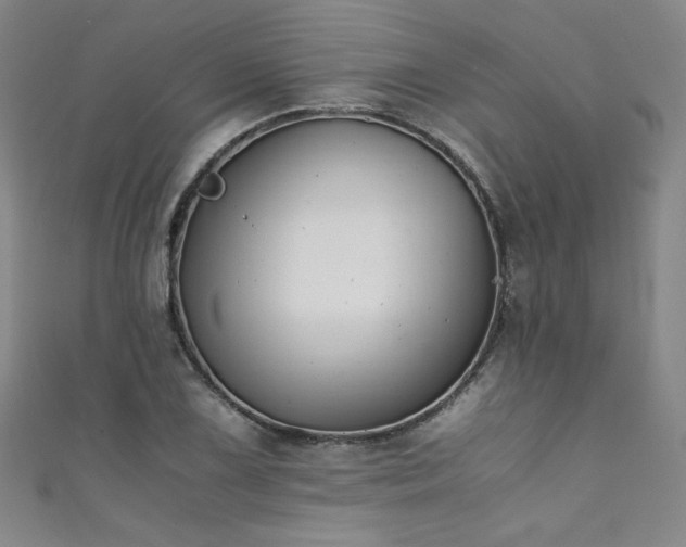 X0000111431075200907131218