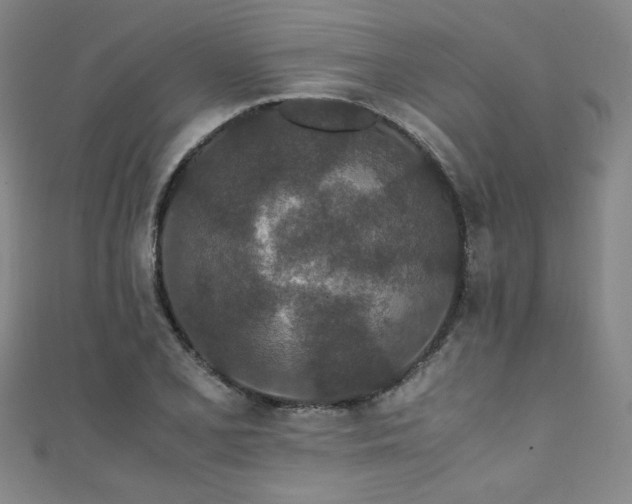 X0000111431077200907131218