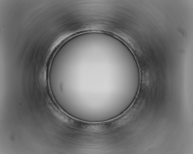 X0000111431078200907131218