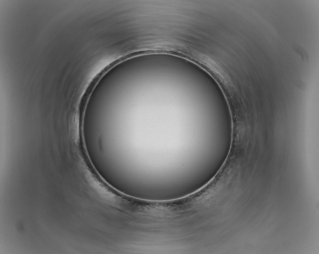 X0000111431079200907131218