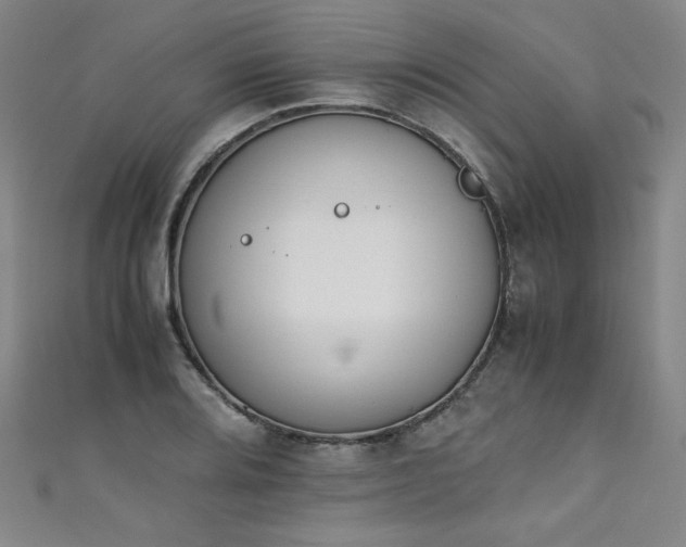 X0000111431080200907131218