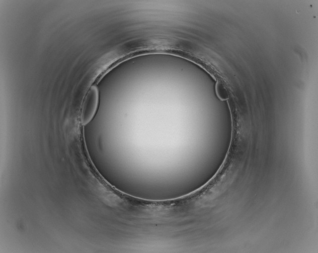X0000111431081200907131218