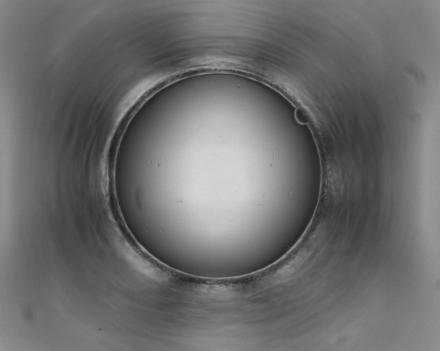 X0000111431082200907131218