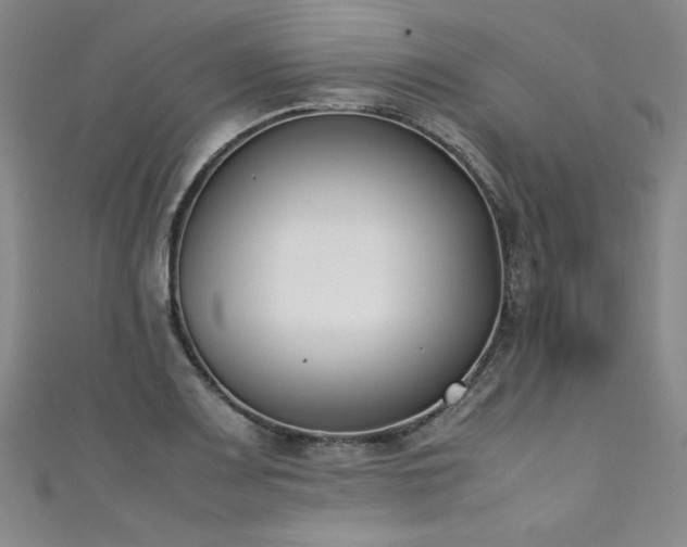 X0000111431083200907131218