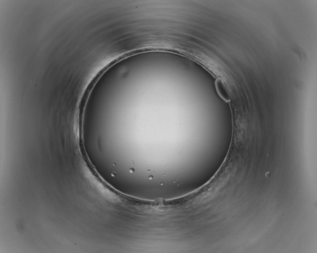 X0000111431084200907131218
