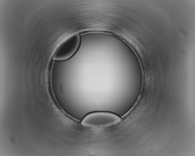X0000111431085200907131218