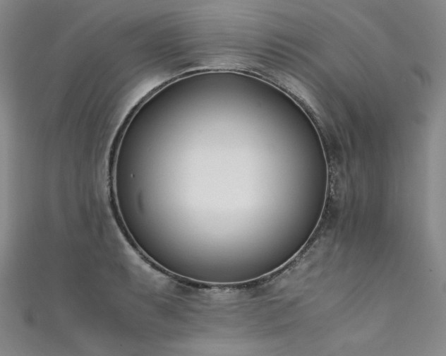 X0000111431087200907131218