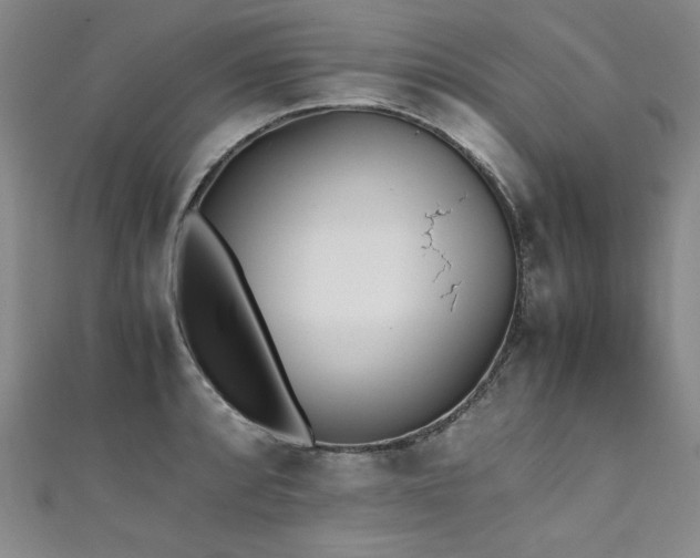 X0000111431088200907131218
