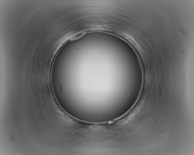 X0000111431089200907131218