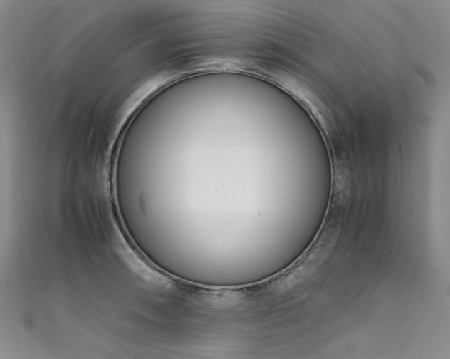 X0000111431090200907131218