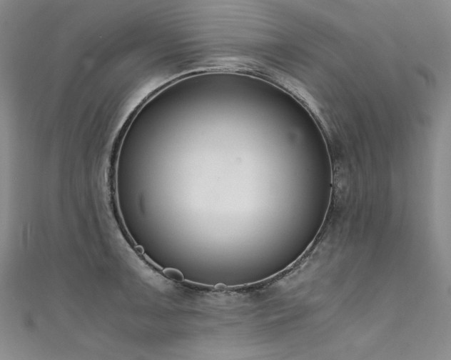 X0000111431091200907131218