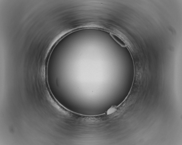 X0000111431092200907131218