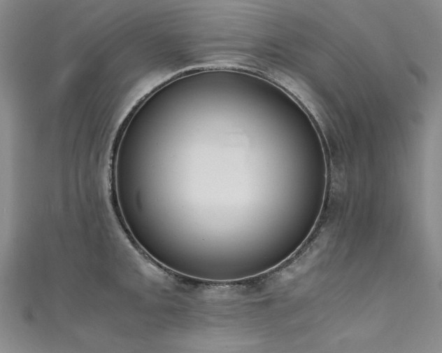 X0000111431093200907131218