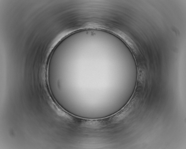 X0000111431094200907131218