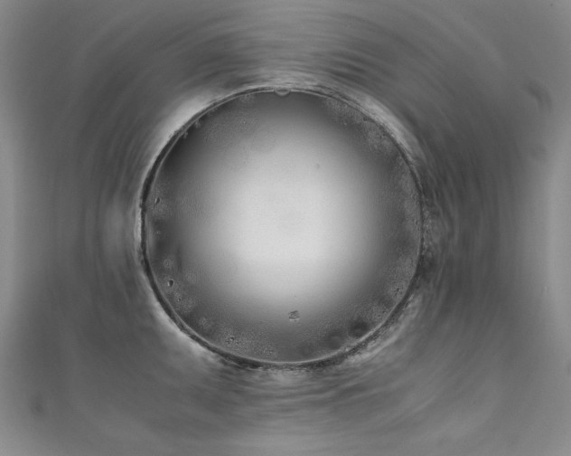 X0000111431095200907131218