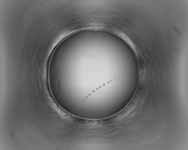 X0000111431099200907131218