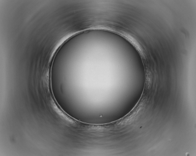 X0000111431100200907131218