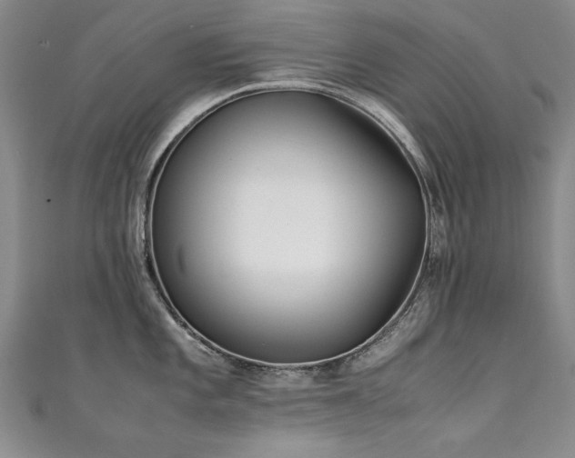 X0000111431101200907131218