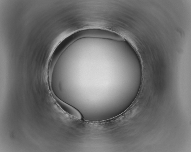 X0000111431104200907131218