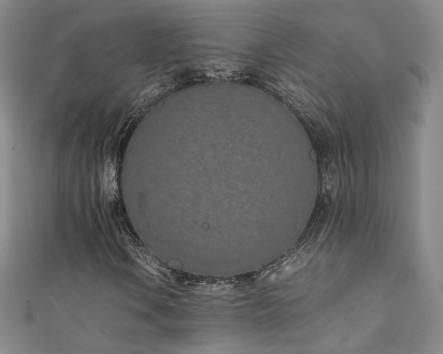 X0000111431106200907131217