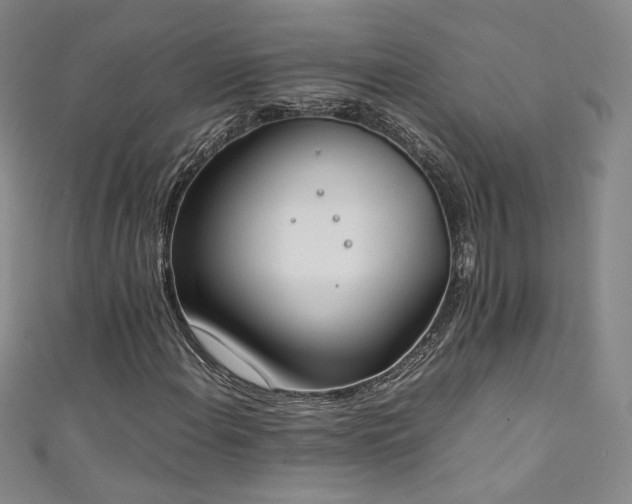 X0000111431108200907131217