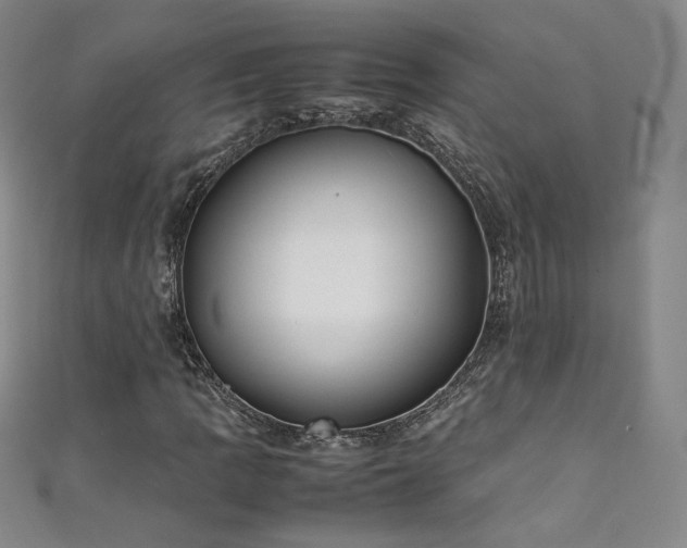 X0000111431109200907131217