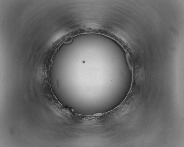X0000111431112200907131217