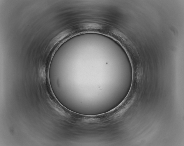 X0000111431113200907131217
