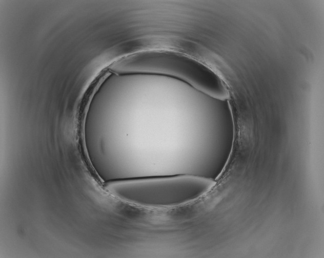 X0000111431116200907131217