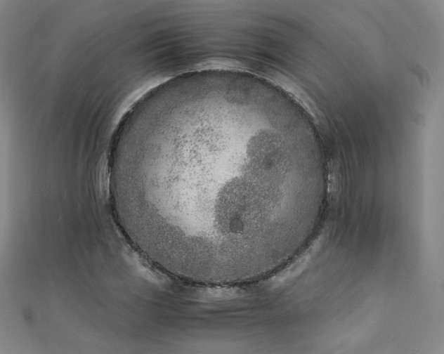X0000111431117200907131217