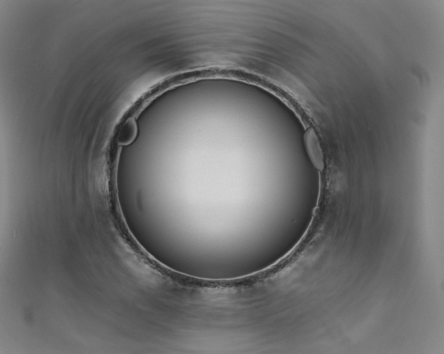 X0000111431118200907131217