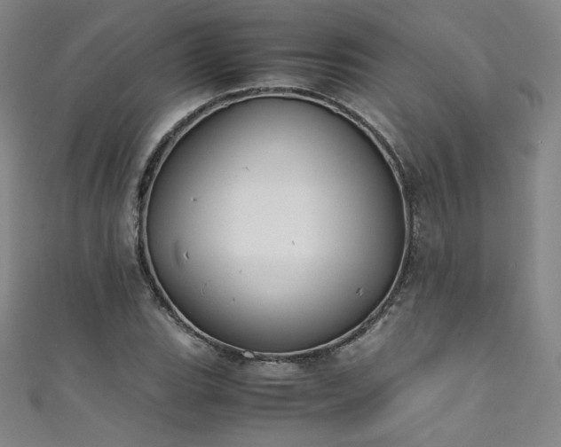 X0000111431119200907131217