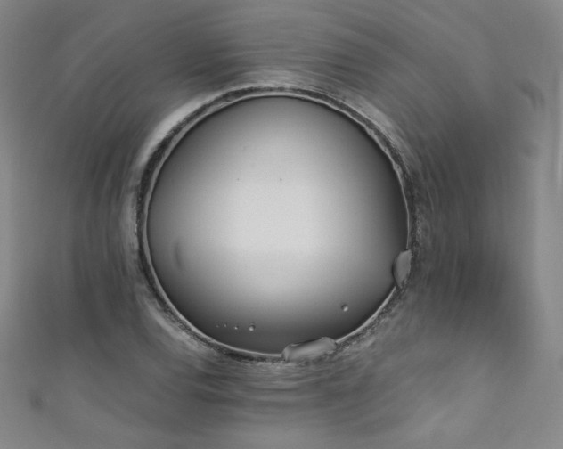 X0000111431120200907131217