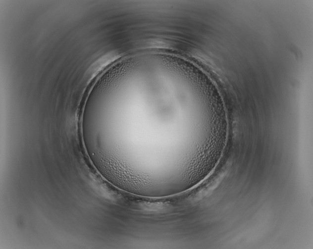 X0000111431121200907131217