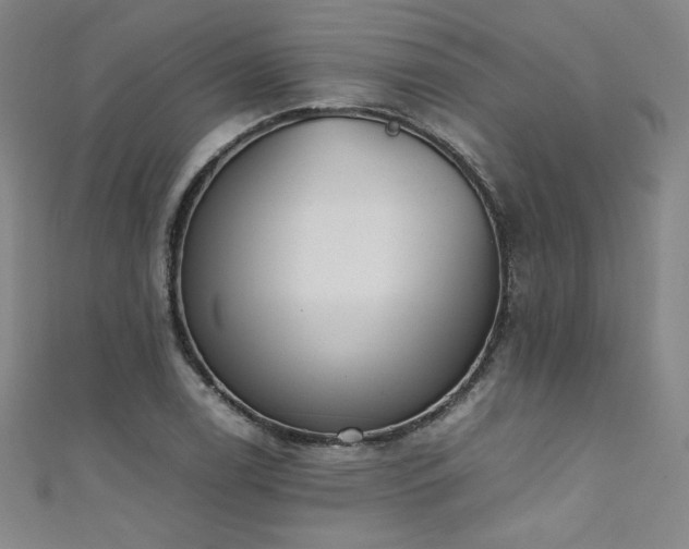 X0000111431122200907131217