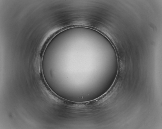 X0000111431123200907131217