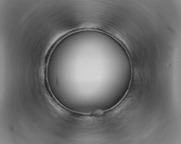 X0000111431124200907131217