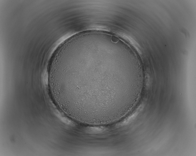X0000111431125200907131217