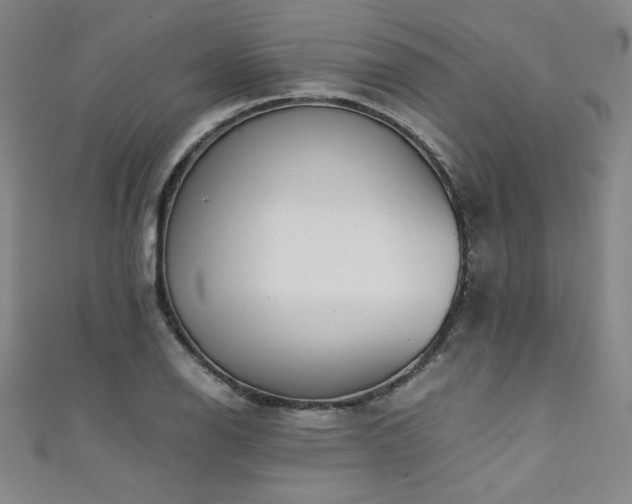 X0000111431126200907131217