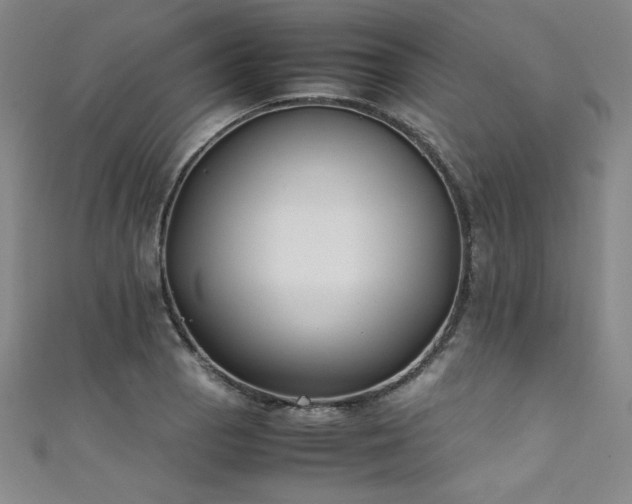 X0000111431129200907131217
