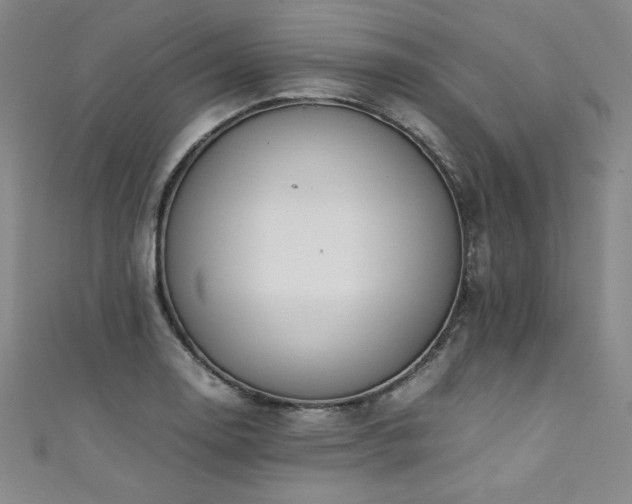 X0000111431130200907131217