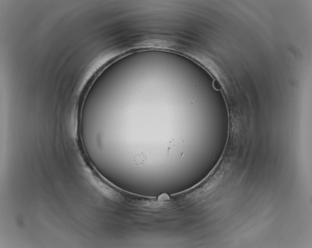 X0000111431131200907131217